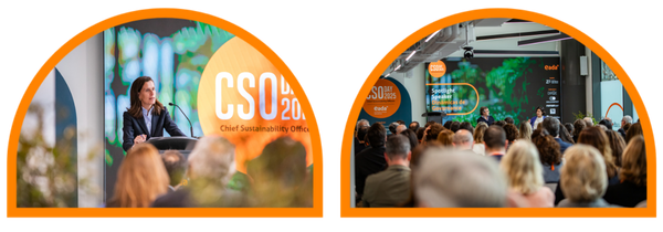 cso day