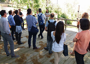 Open Day Executive Programmes