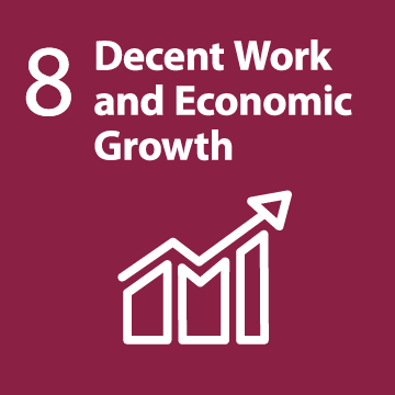 sdg-08