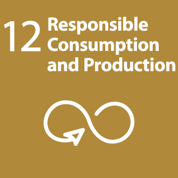 sdg-12