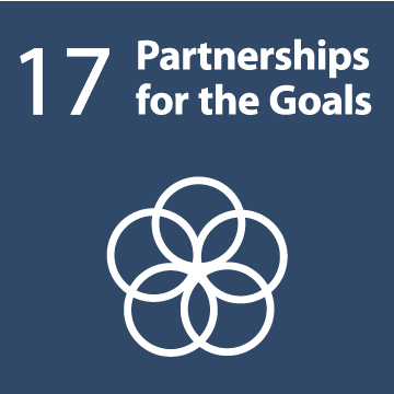 sdg-17
